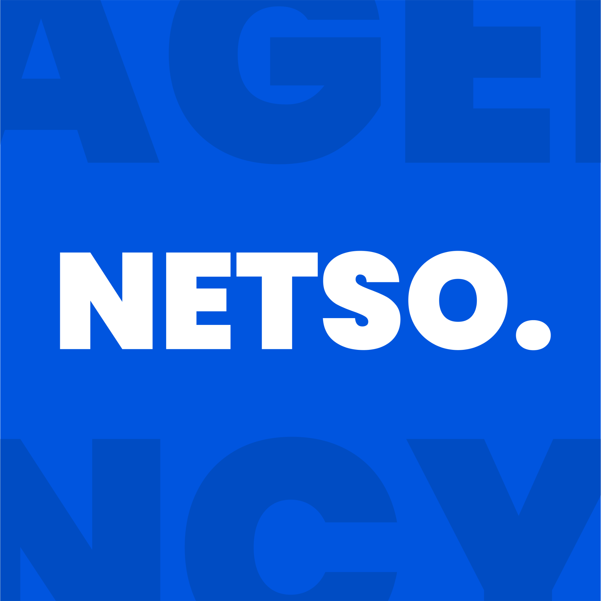 NETSO Agency